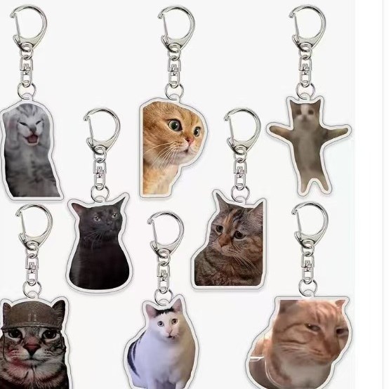 Chaveiro de Cabeça de Gato com - Badminton Meme avaliação e preço
