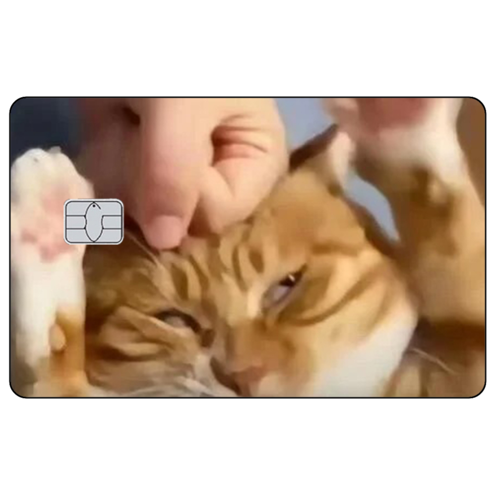 Adesivos de pele de cartão de  - Badminton Meme avaliação e preço